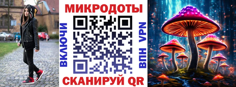где продают Александровское mega зеркало Псилоцибиновые грибы мицелий